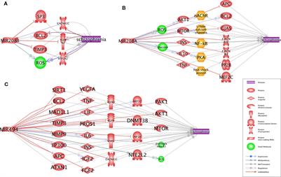 miRNA-Coordinated Schizophrenia Risk Network Cross-Talk With Cardiovascular Repair and Opposed Gliomagenesis